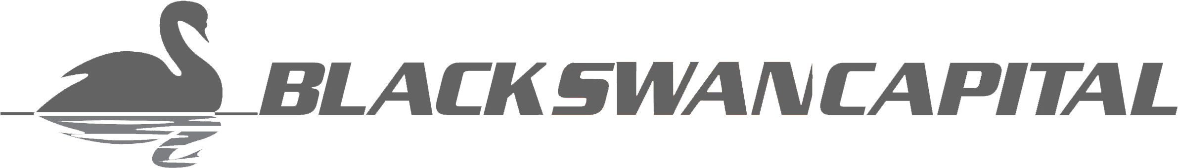 Philadelphia Flyers Line Combinations Philadelphia - Black Swan Ornament (oval) (2400x600), Png Download