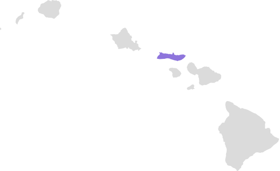 Hawaiian Islands (556x340), Png Download