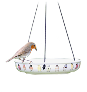 Our Water Dishes Are Great For Small Garden Birds, - Canary (363x376), Png Download
