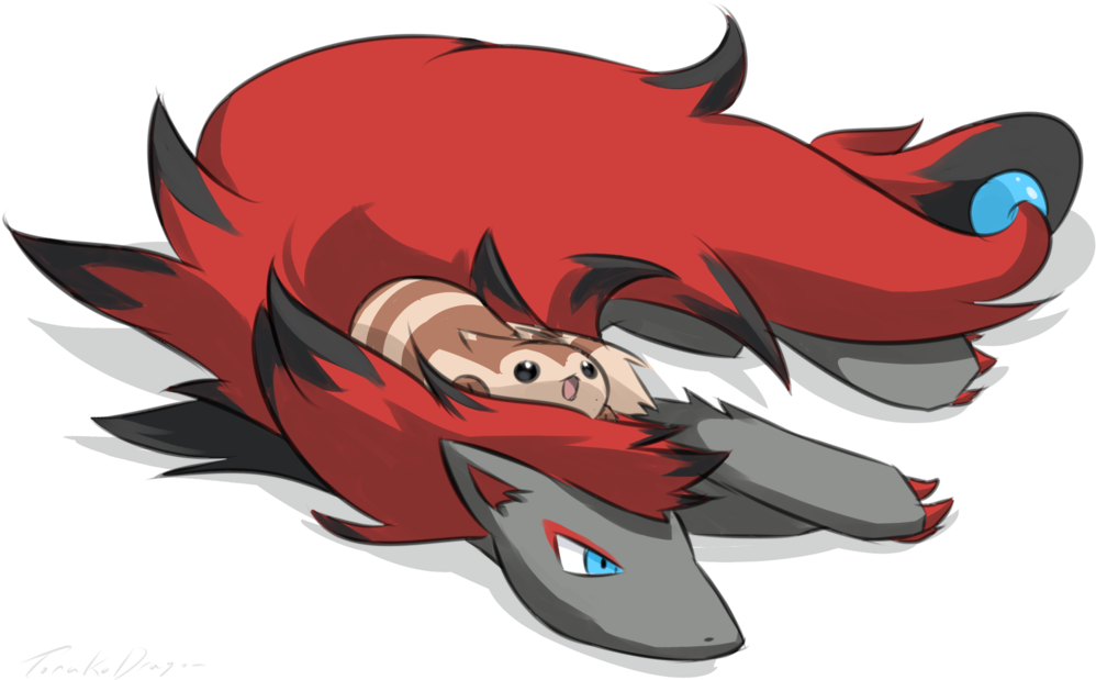 Pokémon X And Y Pokémon Red And Blue Red Mammal Vertebrate - Furret Cute (1024x702), Png Download
