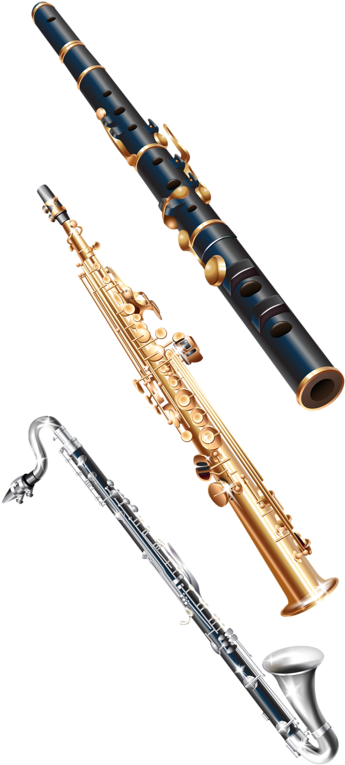 12 - Clarinet Basses (373x800), Png Download