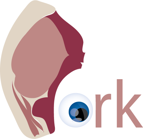 The Second Design Was A Pork Chop As The Letter 'p' - Pork Word (474x460), Png Download