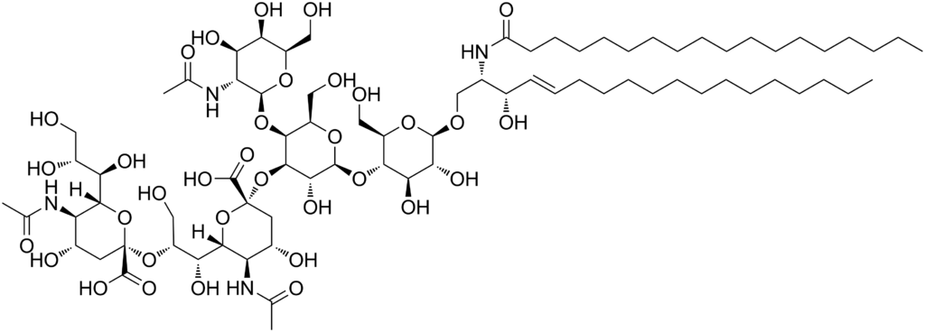 Gd2 Ganglioside - Disialoganglioside Gd2 (1024x368), Png Download