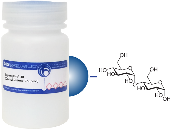 Immunoglobulin G (800x800), Png Download