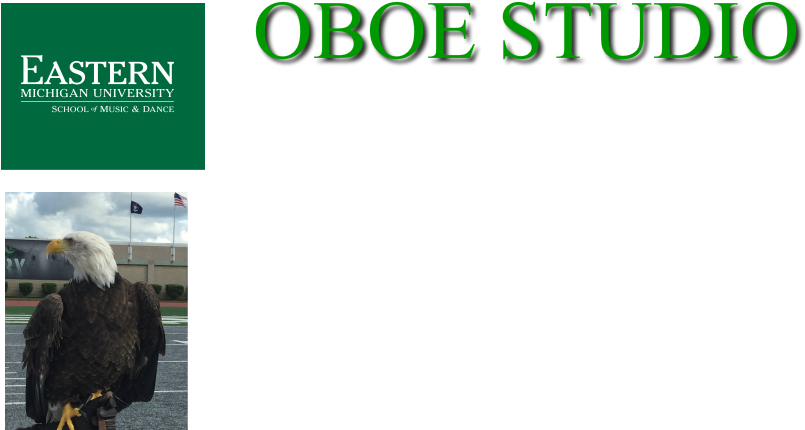 Oboe Studio Homepage Of Eastern&nbsp - Eastern Michigan University Stainless Steel Tailgate (850x430), Png Download