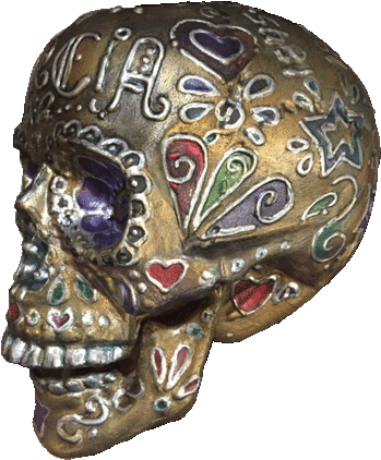 Garcia Sugar Skull - Anthropologist (400x436), Png Download
