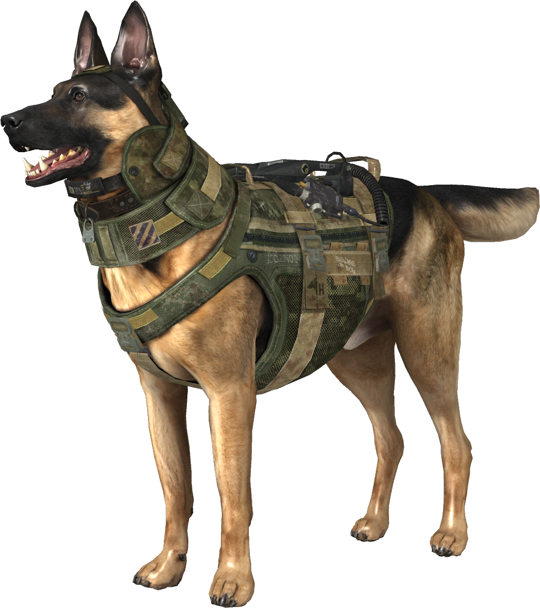 Riley Model Codg - Riley Call Of Duty Ghosts (1175x1271), Png Download