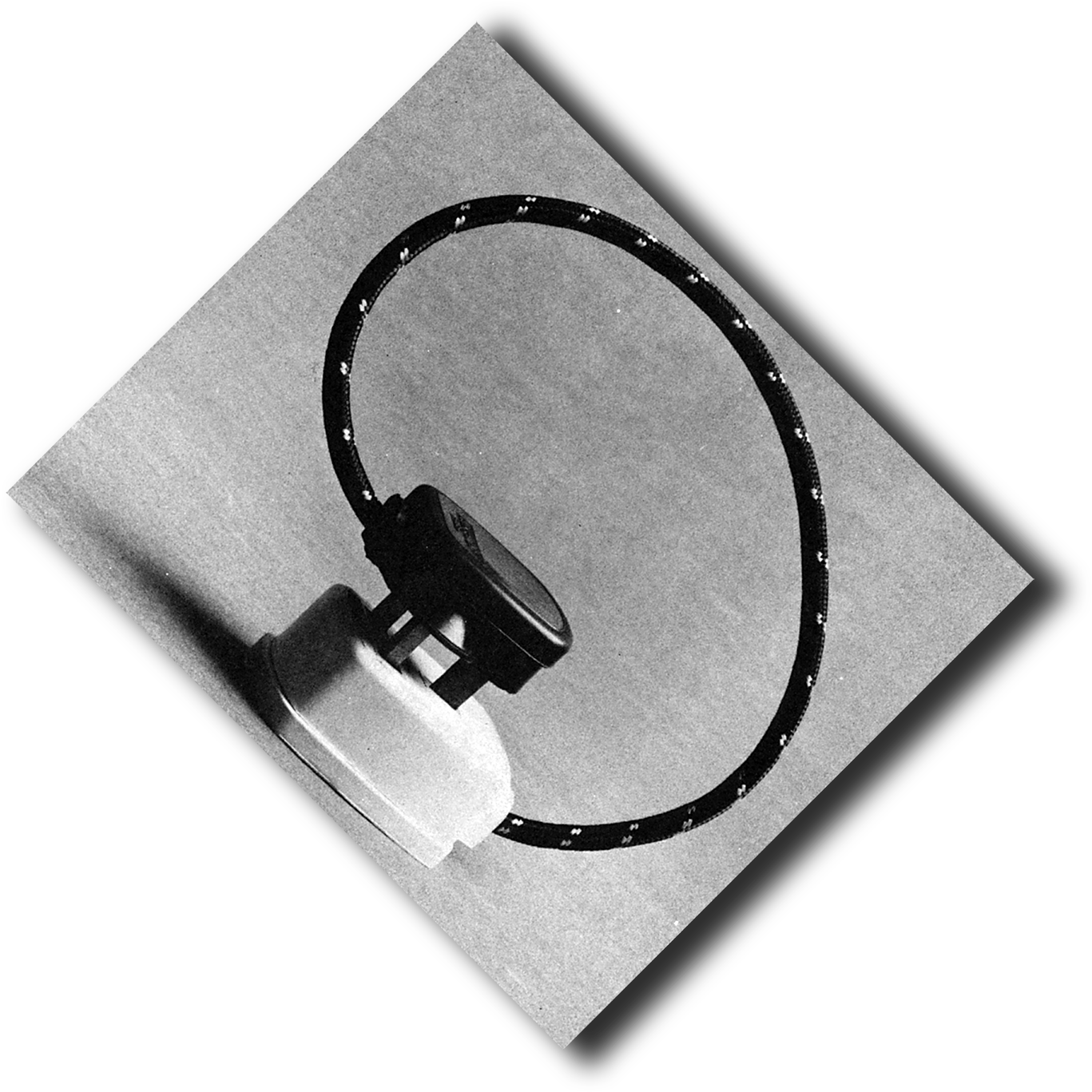 Circle (1500x1493), Png Download