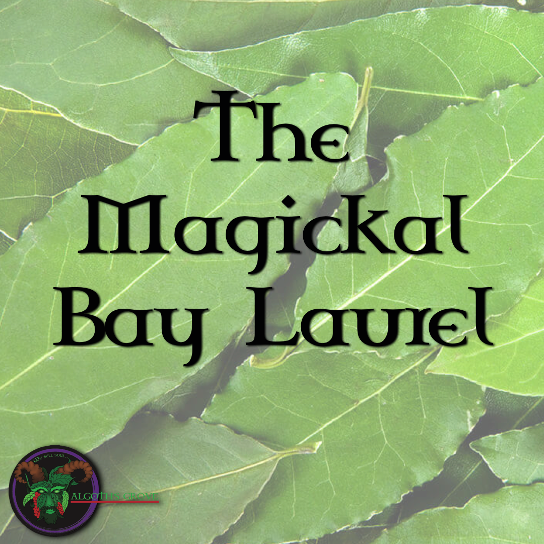 Bay Laurel - Design (1080x1080), Png Download