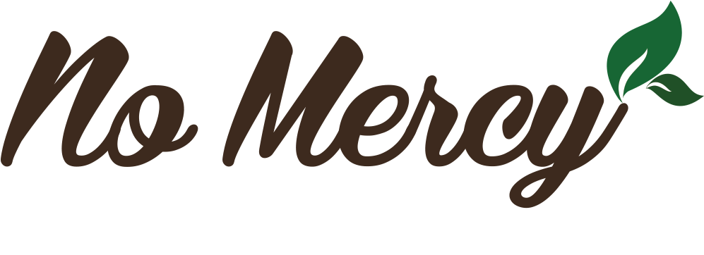 Nopaleros De Zacatecas Logo (1000x400), Png Download