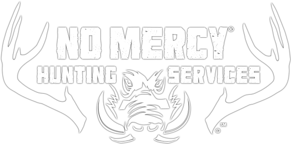 No Mercy Hunting - Wild Boar Cartoon (587x291), Png Download