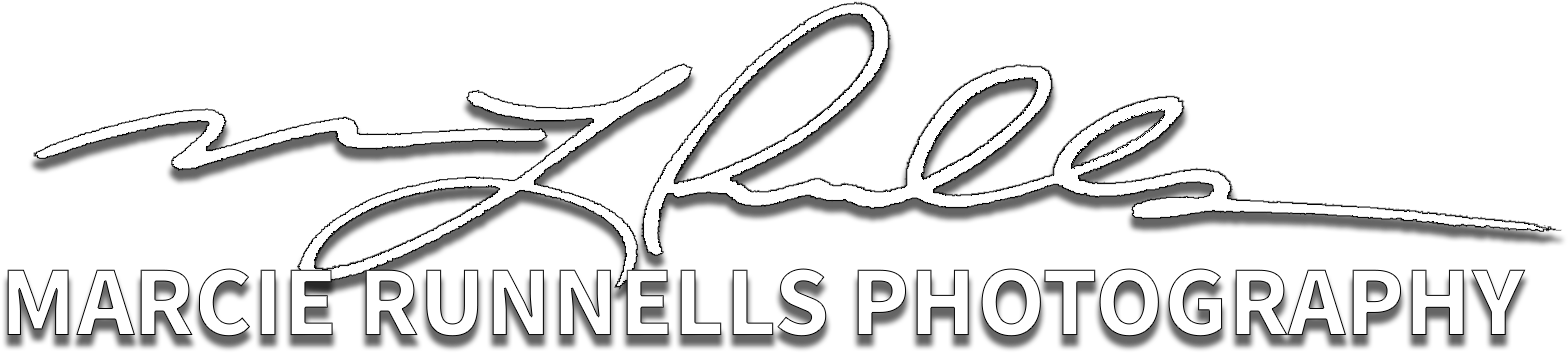 Marcie Runnells Photography - Calligraphy (1664x456), Png Download