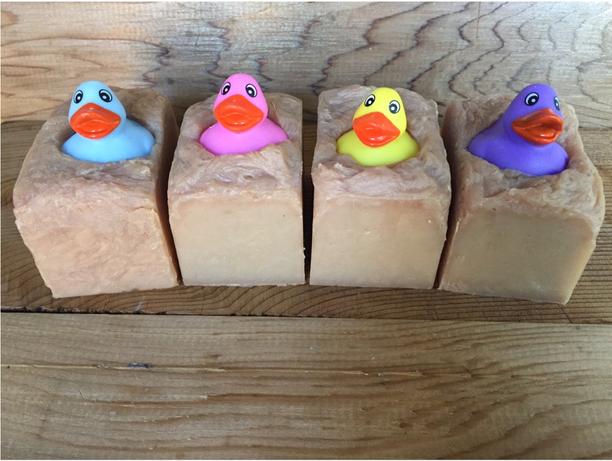 Goat (1200x1200), Png Download