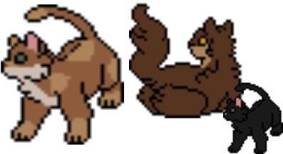 Det Fem Doe - Gorilla (800x600), Png Download