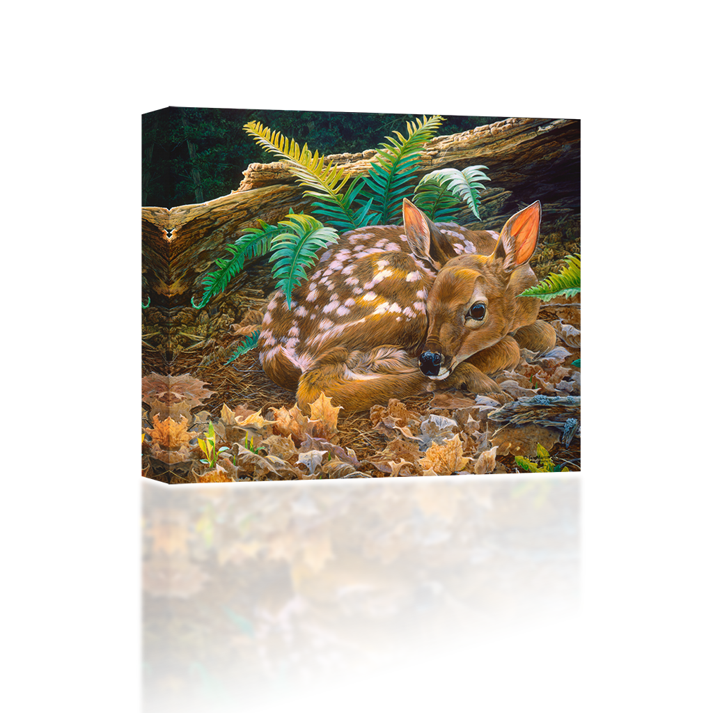 Doe Curled Up - New York City Department Of Education (1024x1024), Png Download