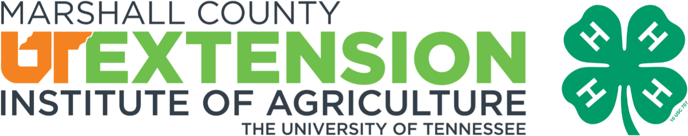 Marshall Co 4-h Logo - Advanced Master Beef Producer (1501x377), Png Download