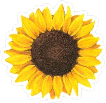 Sunflower Tumblr Sricker Adesivo - Sunflower Tattoo (407x397), Png Download