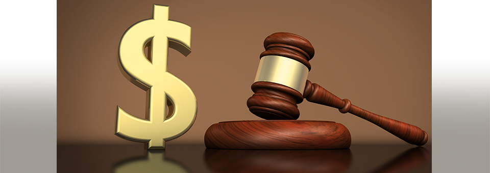 Adjustacam V Newegg Patent Appeal Case Summary - Judge (800x283), Png Download