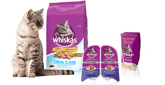 Does Your Cat Love Whiskas® - Whiskas Whiskas Oral Care With Real Chicken, 3kg, Dry (744x319), Png Download