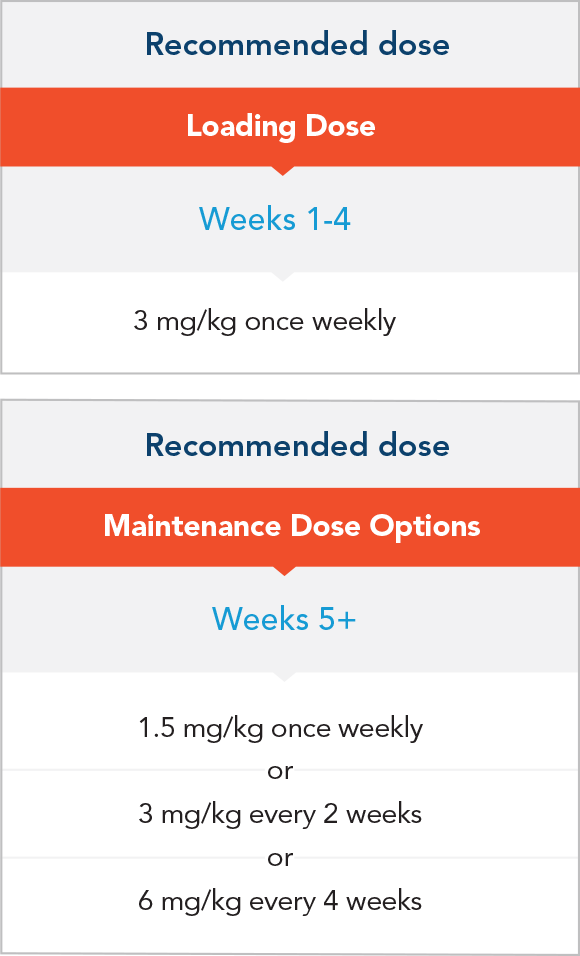 Hemlibra® Recommended Loading Dose And Maintenance - Maintenance Dose (580x956), Png Download