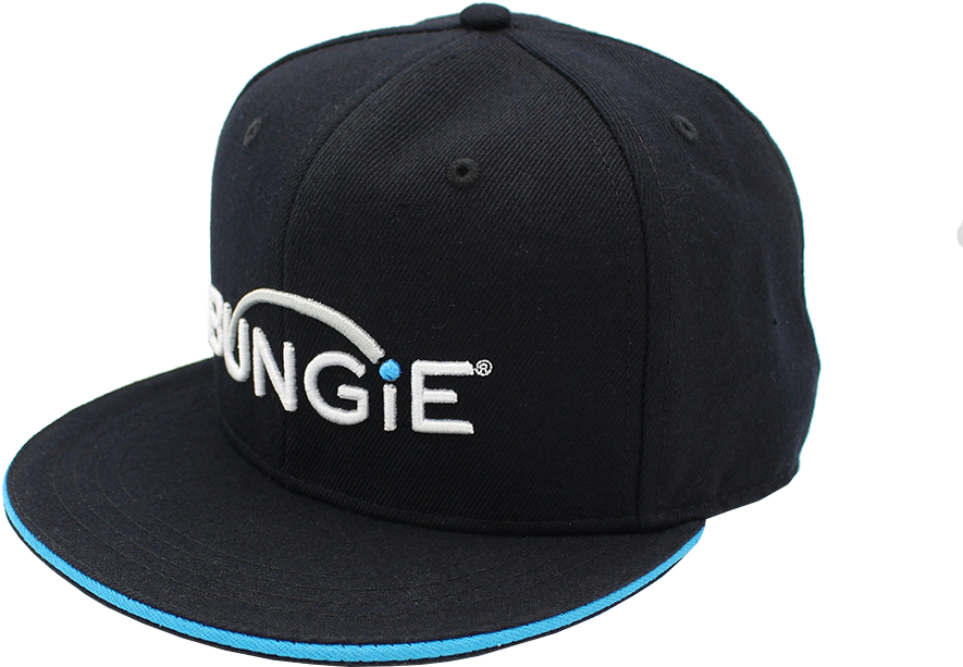 Bungie Snapback - Bungie (1000x1000), Png Download