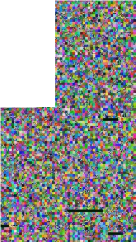 Edit 2 - - Electric Blue (321x476), Png Download