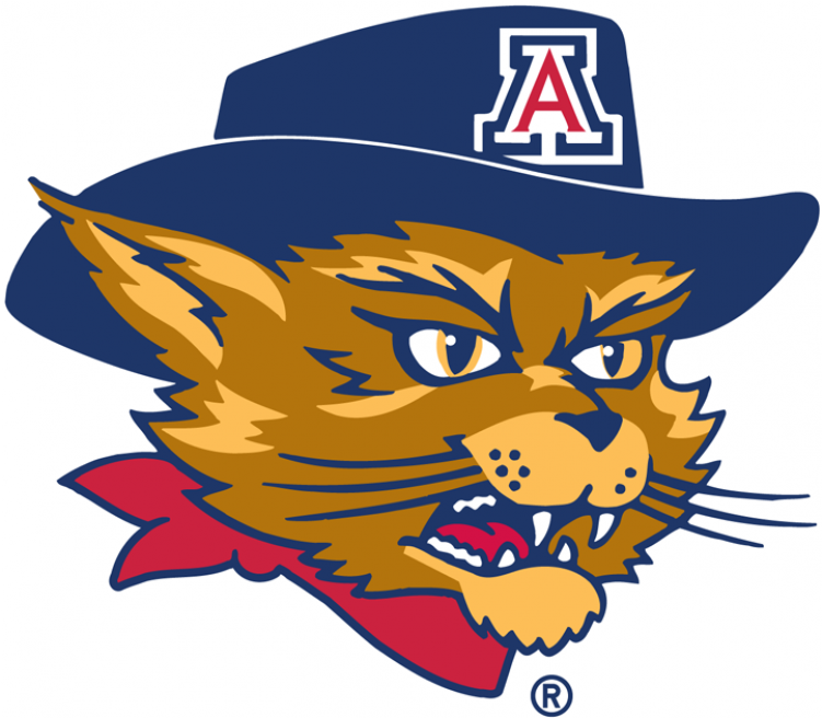 Arizona Wildcats Iron Ons - University Of Arizona Wildcats Mascot (750x930), Png Download