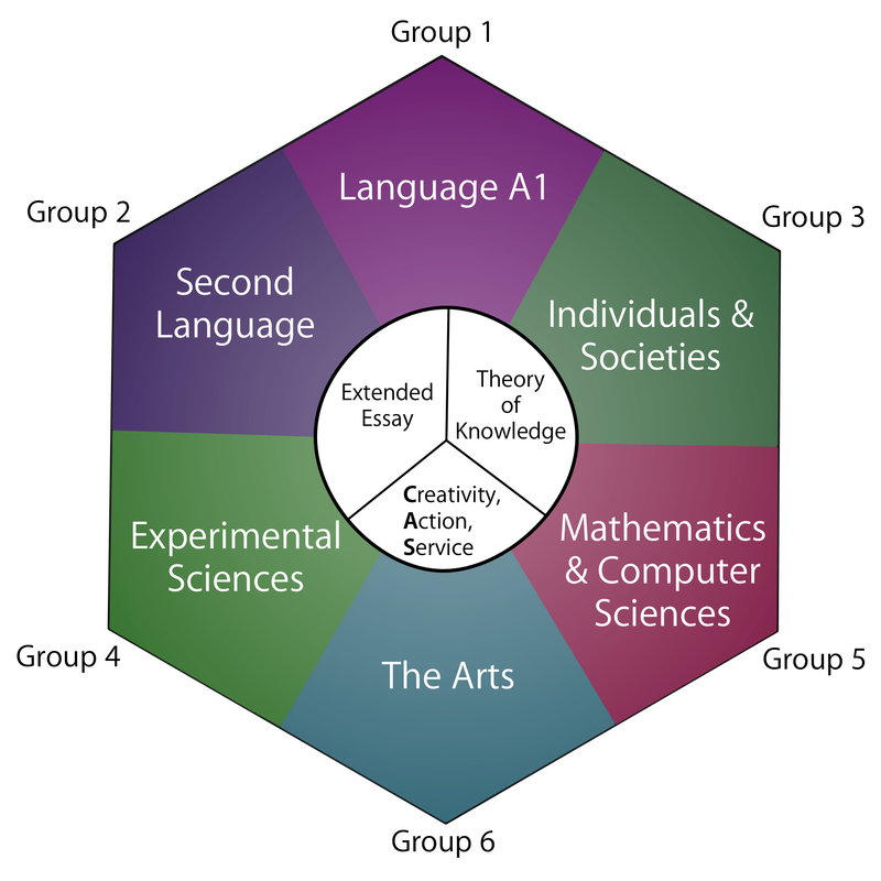 International Baccalaureate Areas Of Study (800x800), Png Download
