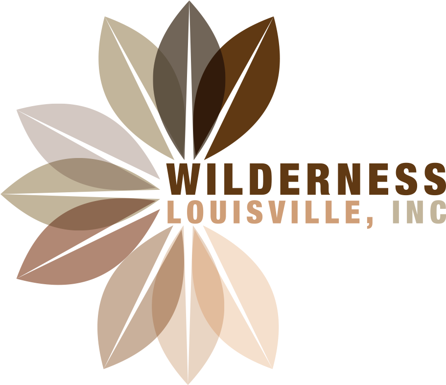 Stay In The Know With Our Newsletter By Subscribing - Wilderness Louisville (970x837), Png Download