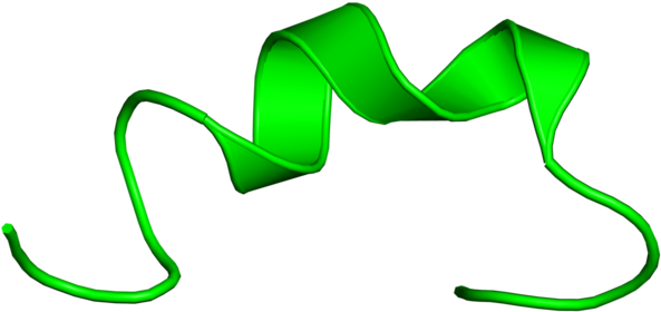 Clip Art (800x800), Png Download
