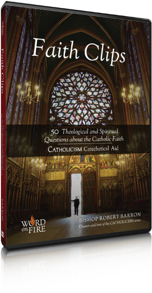 Faith Clips - Dvd - Catholicism: A Journey To The Heart (800x800), Png Download