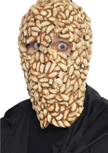 Halloween Costumes For Pmps - Do Maggots Turn Into (349x494), Png Download