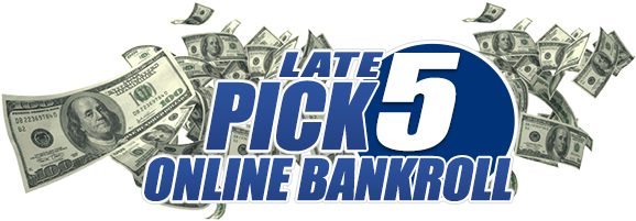 $100 Late Pick 5 Bankroll - 100 Dollar Bill (750x200), Png Download