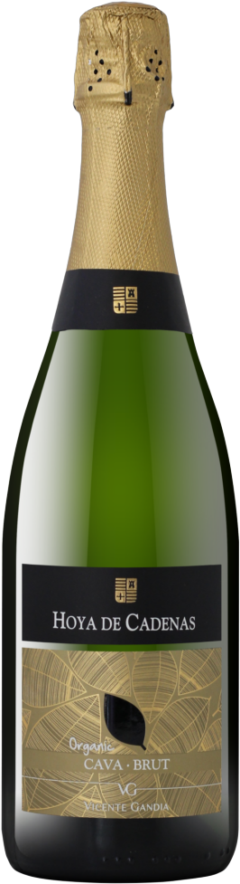 Hoya De Cadenas Cava (720x1080), Png Download