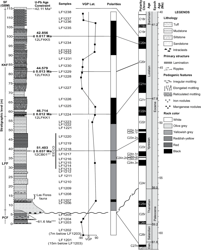 Chronostratigraphic Information For The Composite Las - Koluel Kayke (850x1056), Png Download