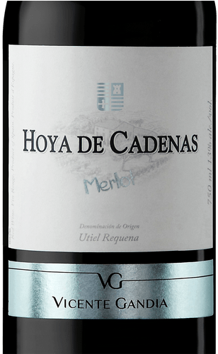 Bodegas Vicente Gandia (375x500), Png Download