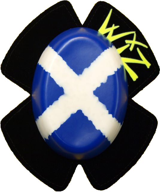Scottish Flag - Pass Fail Icon (535x640), Png Download