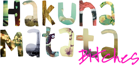 W-supplier Iphone 5 Case Customized High Grade Hakuna (709x295), Png Download