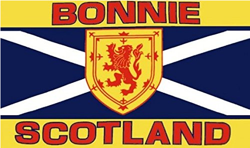 Bonnie Scotland Flag (500x500), Png Download
