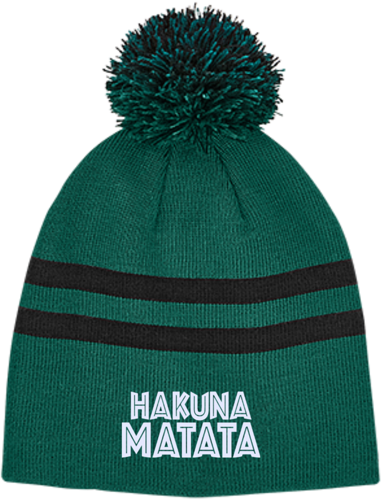 Hakuna Matata Tt122 Team 365 Striped Pom Beanie - Hakuna Matata Stc20 Sport-tek Colorblock Beanie (1024x1024), Png Download