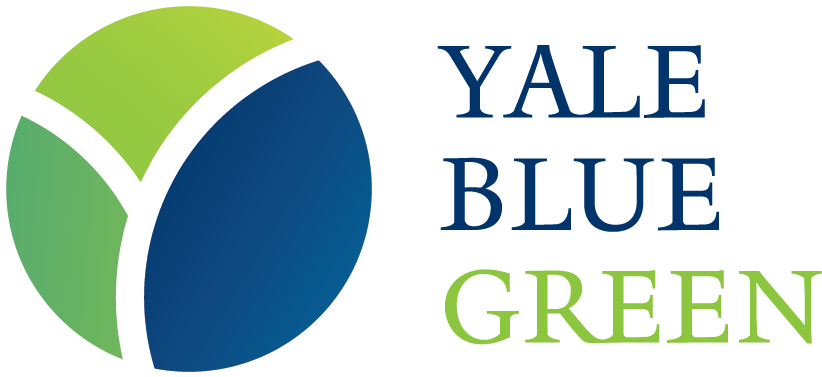 Yale Blue Green Is The Home For Yale Alumni Interested - Byzantine Rome And The Greek Popes: Eastern Influences (895x450), Png Download