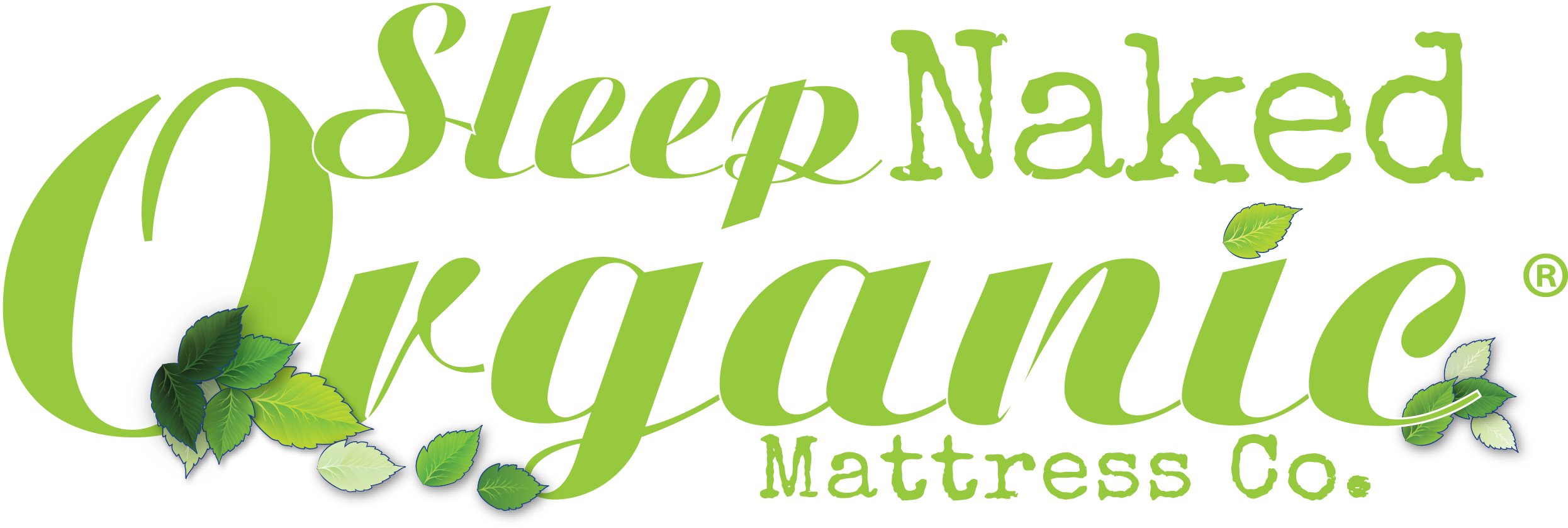 Logo (2697x969), Png Download