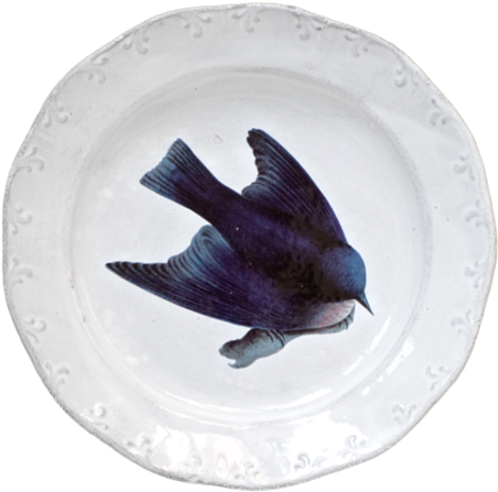 Blue Bird Plate - Purple Martin (500x500), Png Download