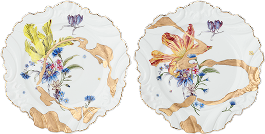 11" Dinner Plates - Plate (523x267), Png Download