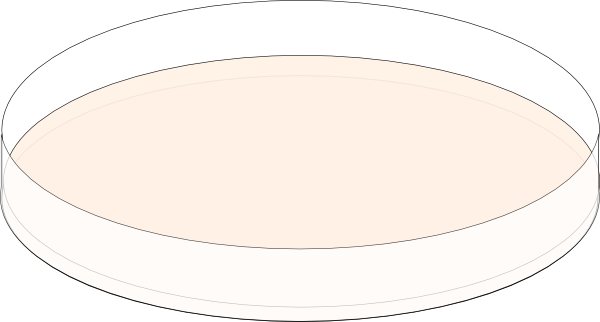 Circle (600x322), Png Download