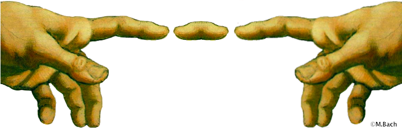 Frankfurter Illusion (786x259), Png Download
