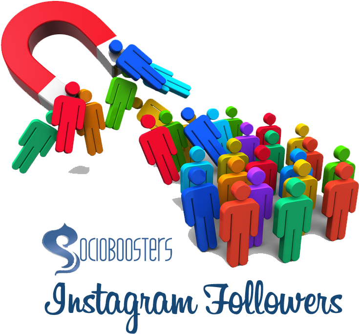 Buy Instagram Followers - Lead Magnet (755x699), Png Download