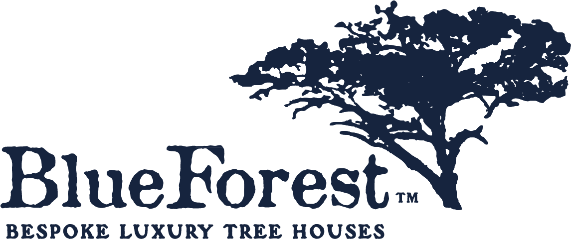 Blue Forest (1162x709), Png Download