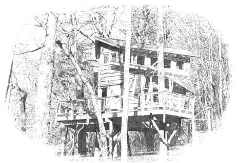 The Blue Ridge Treehouse Is Located At Bear Claw Vineyards - Blue Ridge Treehouse (480x359), Png Download