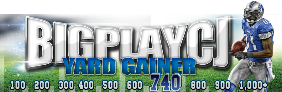 Copyright © 2014 Calvin Johnson Jr - Calvin Johnson (900x293), Png Download